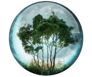 save a tree 